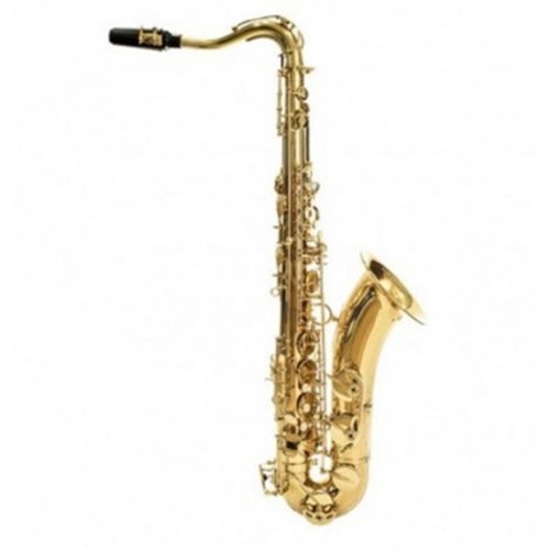 Kèn Saxophone Conn & Selmer TS651